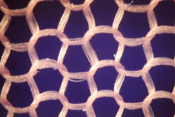 Vista microscópica de fibras de nailon sintético