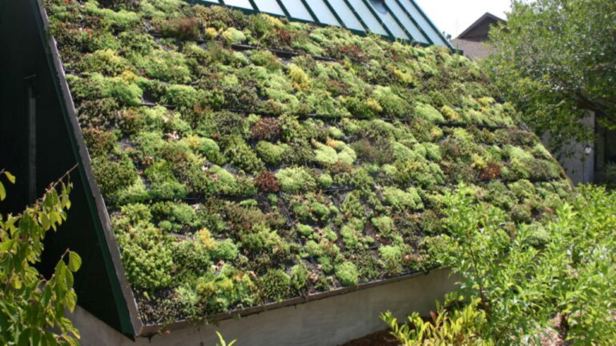 Green Roof Thermal Conductivity
