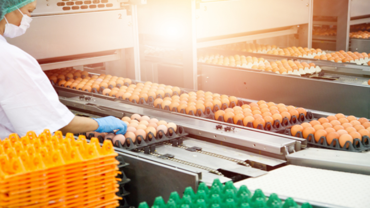 The Importance of Thermal Conductivity in the Food Production Industry