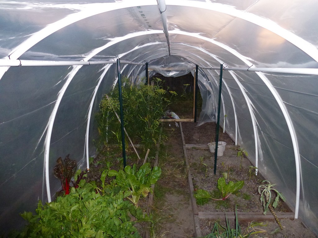 Greenhouse constructed from PVC fabric