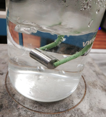 Beaker on a hot plate with a sample submerged and hovered above the bottom by tongs