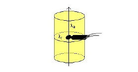Anisotropic Testing Module