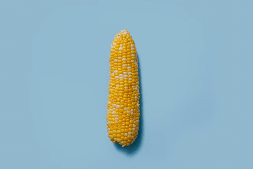 composition bioplastic corn