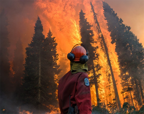 A firefighter staring at the intensity of the fire in British Columbia