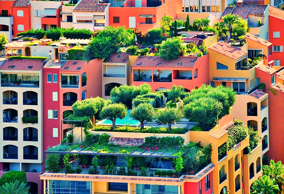 Intensive green roofs