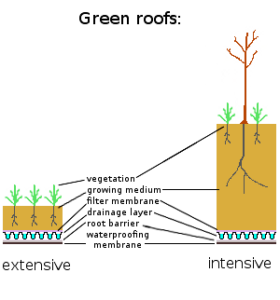 Diagram of green roof layers