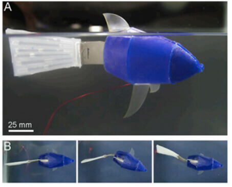 Thermal Conductivity Blog LMEE Robotic Fish