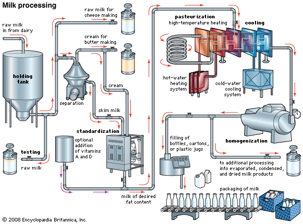 Thermal Conductivity Applications Homogenize